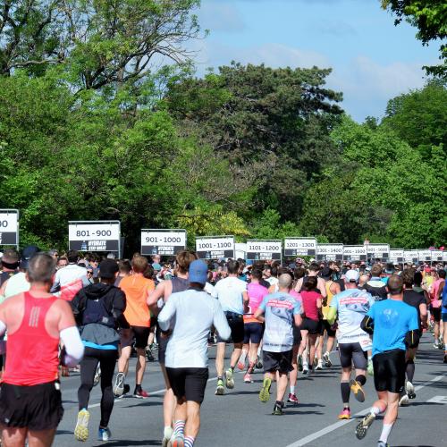 Vienna City Marathon 9
