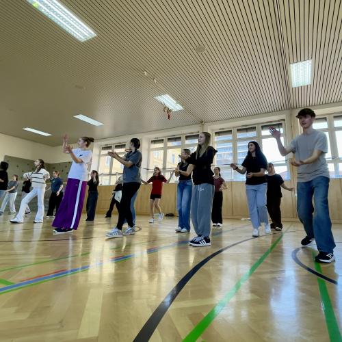 Projekttage des musischen Zweiges4