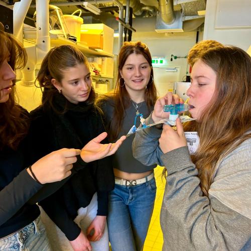 © BORG | Bildquelle: BORG | Urheber:in: BORG Atemgasanalytik4