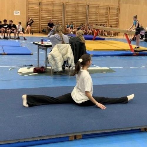 Landesmeisterschaft_Geräteturnen_13