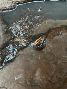 © BORG | Bildquelle: BORG | Urheber:in: BORG Marlene,Daniella