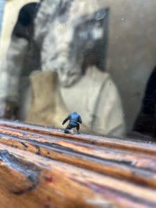 © BORG | Bildquelle: BORG | Urheber:in: BORG Vincent,Simon