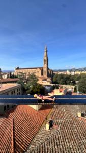 © BORG | Bildquelle: BORG | Urheber:in: BORG Moritz,Aaron