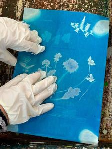 Blau machen am BORG_05_small