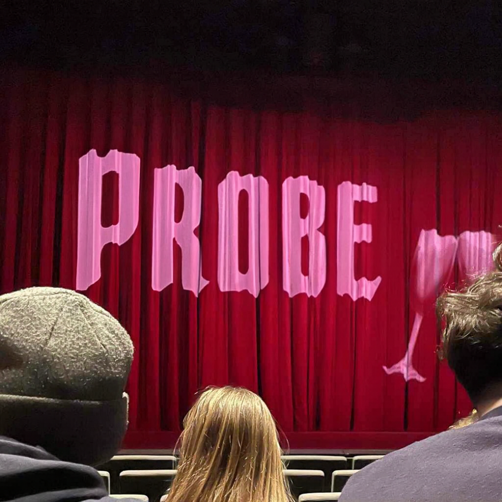 Probenbegleitung „Sein oder Nichtsein“ (5b) 